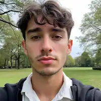 perfil